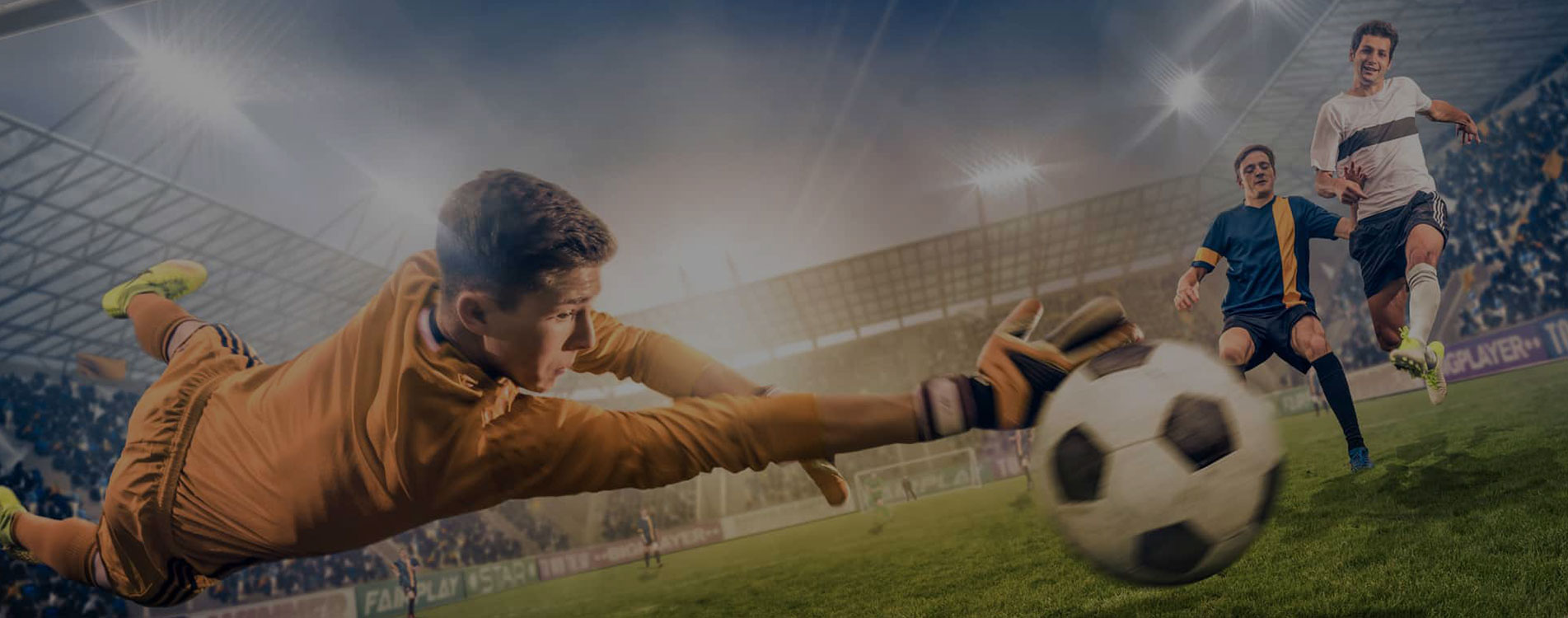 Rugby Football Sport